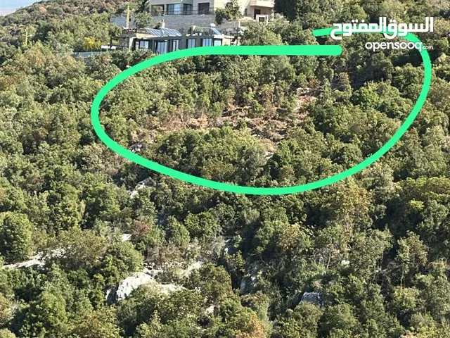 Mixed Use Land for Sale in Batroun Other