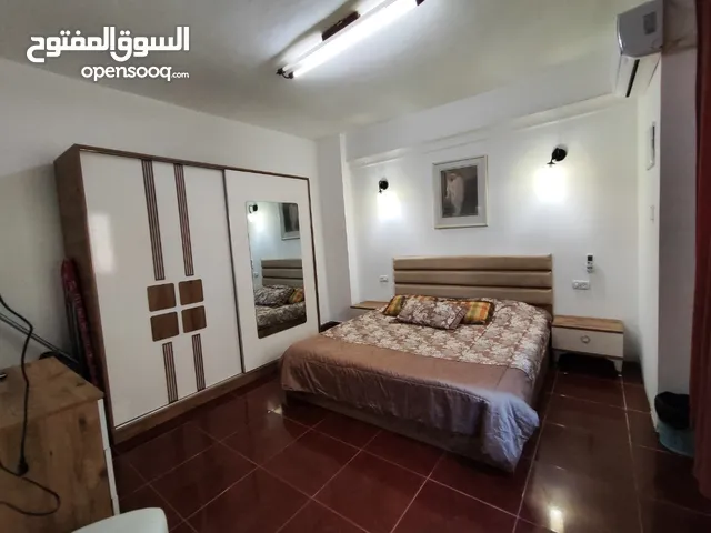 50 m2 Studio Apartments for Rent in Ramallah and Al-Bireh Ein Musbah