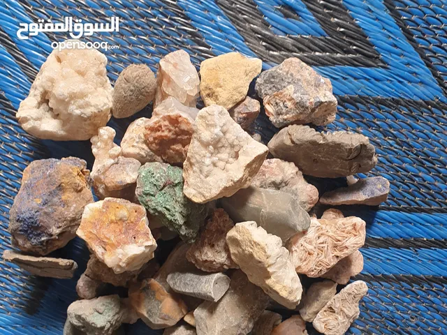 البيع الحجر كرم
