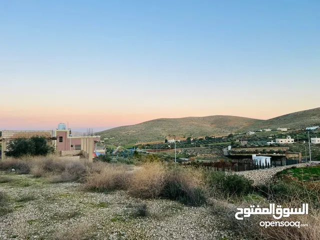 3400 متر في صروت على الشارع الرئيسي