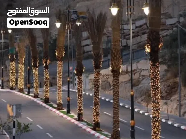 قطعة أرض بسعر مغري .في المنطقة الصناعية ب تفوح
