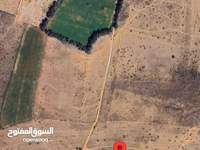 Mixed Use Land for Sale in Qasr Al-Akhiar Other