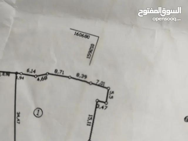جاد البرغوثي
