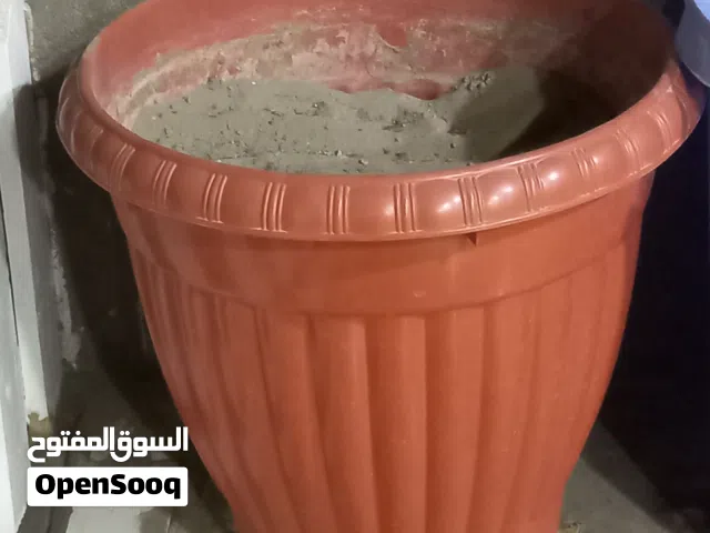 سناديل زهور مع تراب نباتي للبيع