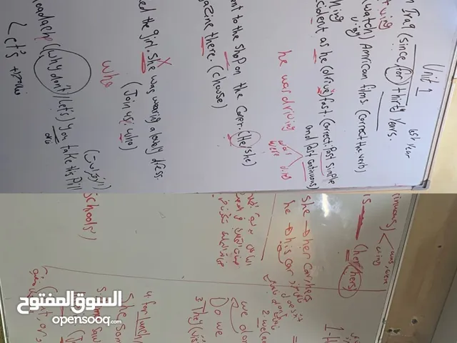 Language courses in Basra
