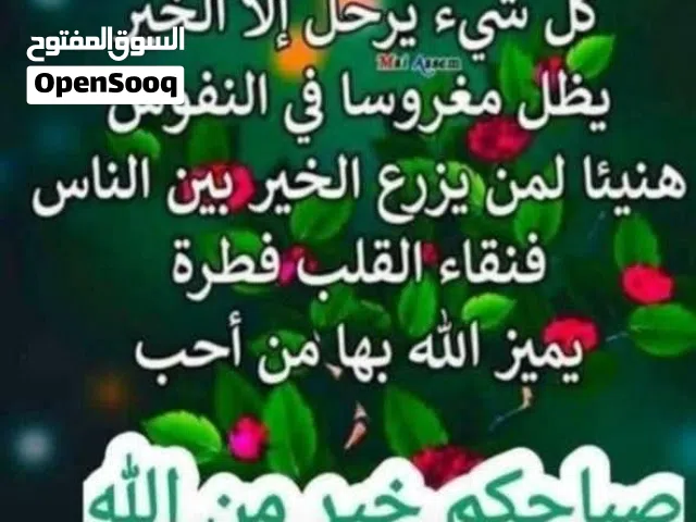 فرشة تقرحلت