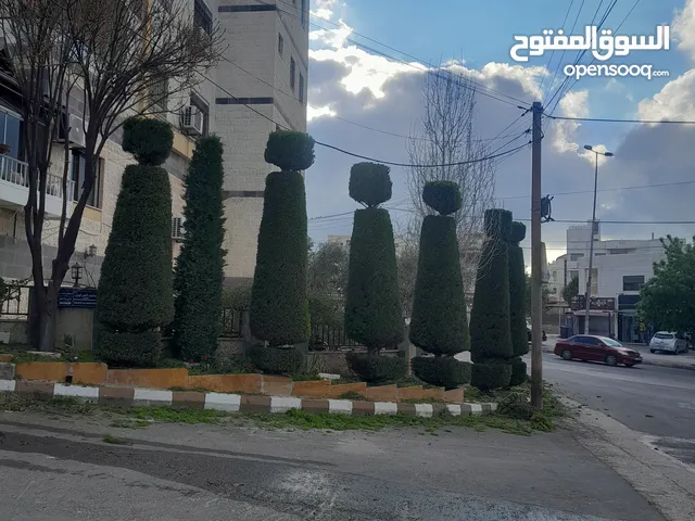 تنسيق وقص الاشجار والحدائق وتنظيف ساحات المنازل بأسعار جيدة