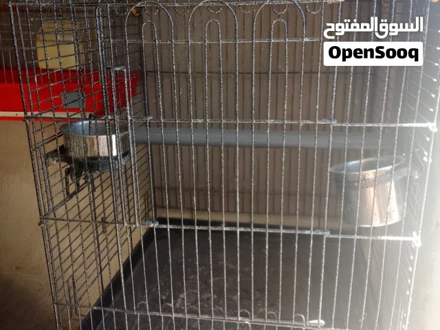 قفص كاسكو كبير جدا للبيع اول البدل على طيور