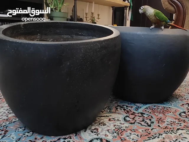 Wwo huge pots