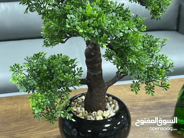 مزهريه ديكور