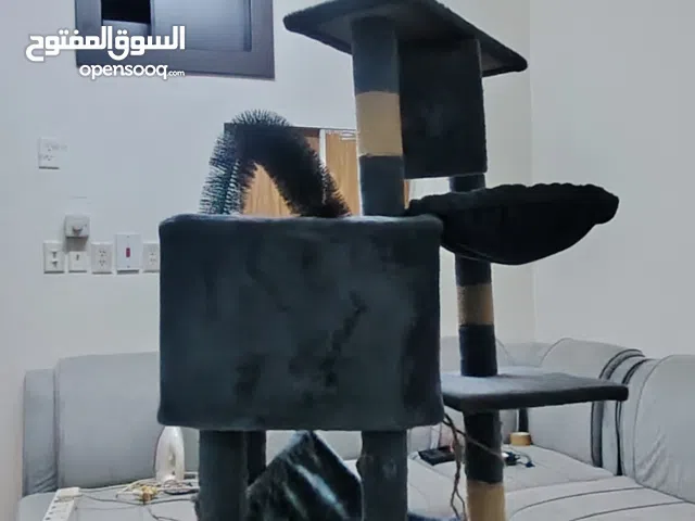 إطار تسلق القطط متعدد الوظائف