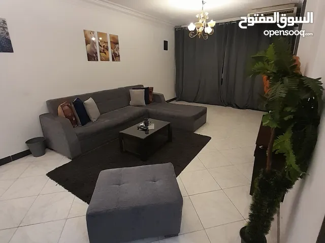 Furnished Daily in Cairo Nasr City