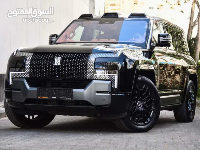 2025, بي واي دي, اخرى