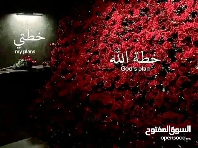 Siham Ibrahim Mohammed