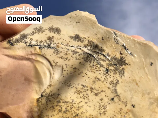 this is not a rock it’s art