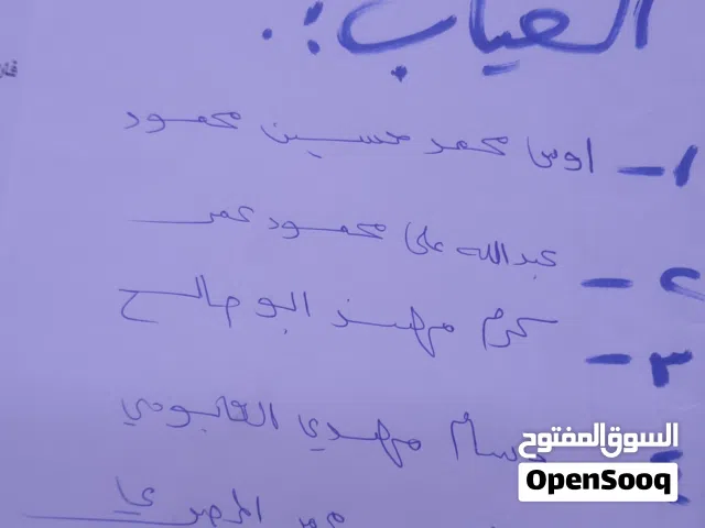 صيصان بلدي للبيع موقع جرش