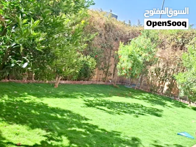 500 m2 More than 6 bedrooms Villa for Rent in Cairo Fifth Settlement