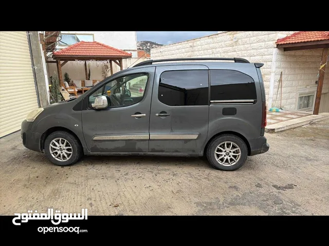 ستروين بيرلنجو