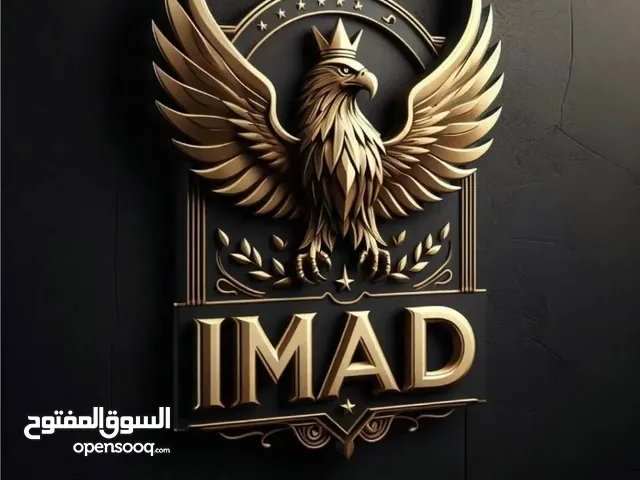 عماد الدين العماري