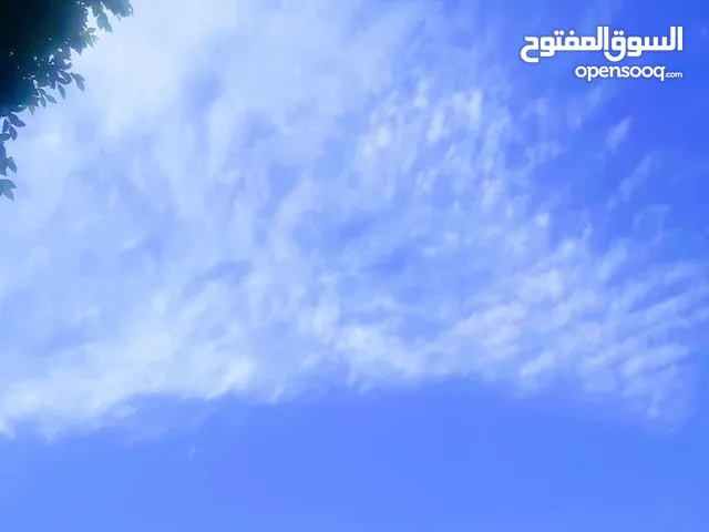 فرصة استثمارية بمجال الهندسة (بأرباح شهرية)