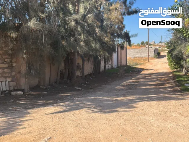 ارض النشيع بعد ملعب القولف