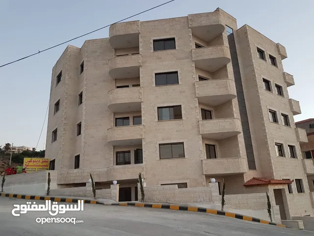 اقساط وكاش شقه للبيع من المالك بسعر مغري صافوط عين الباشا