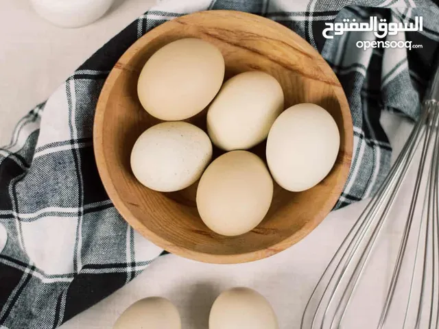 بيض دجاج بحريني طازج fresh egg