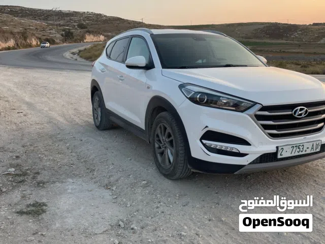 توسان 2017حرق