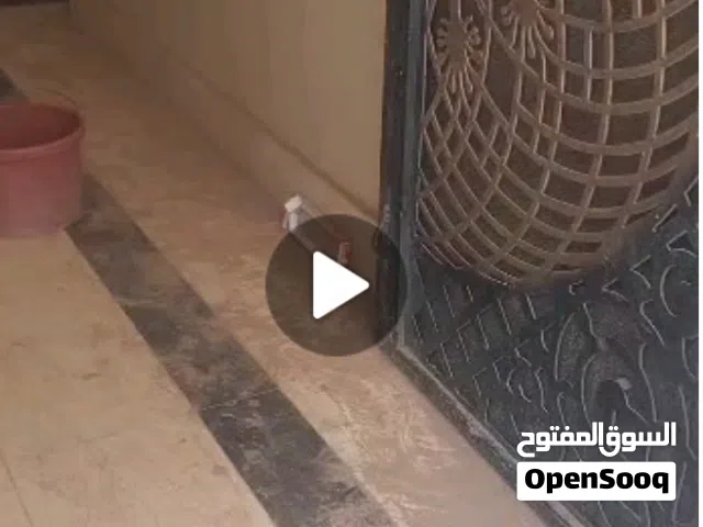 شقق للايجار