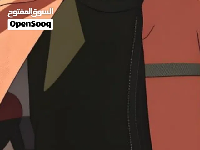 المهندس اكرم المشرع