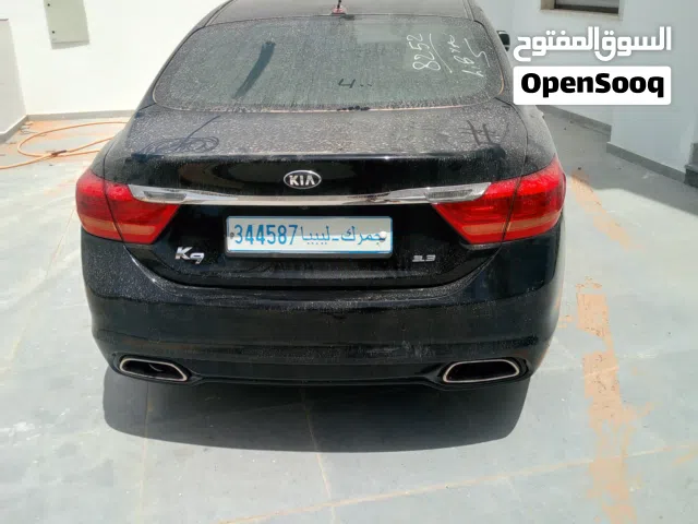 2013 Kia Other