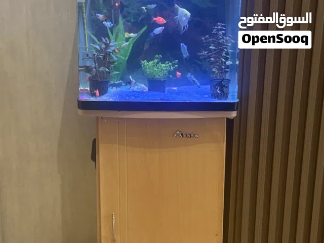 Fish tank for sale for best price