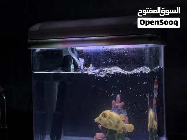 FISH AQUARIUM