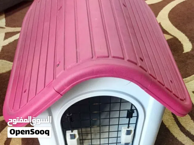 بيت كلب بلاستيك للبيع يحمي من البرد والحر مناسب داخل أو خارج المنزل