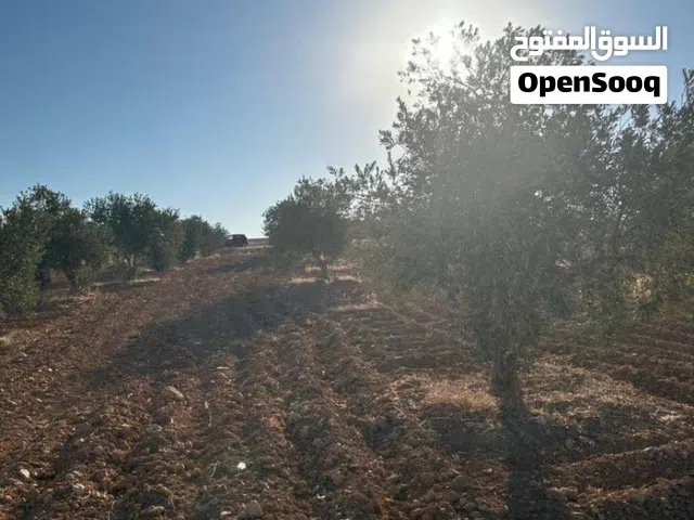 Mixed Use Land for Sale in Madaba Thiban