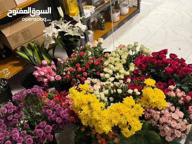 محل ورود واكسسوارات للبيع مدخول مضمون 100/100