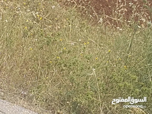 Farm Land for Sale in Salt Al Balqa'