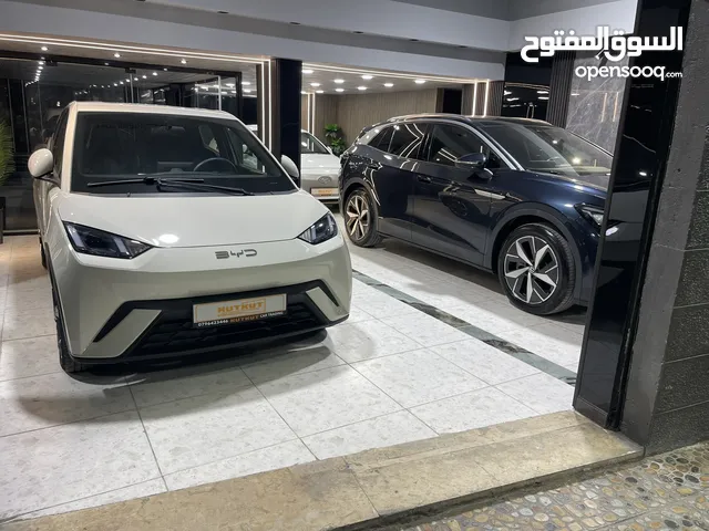 Used BYD Seagull in Irbid