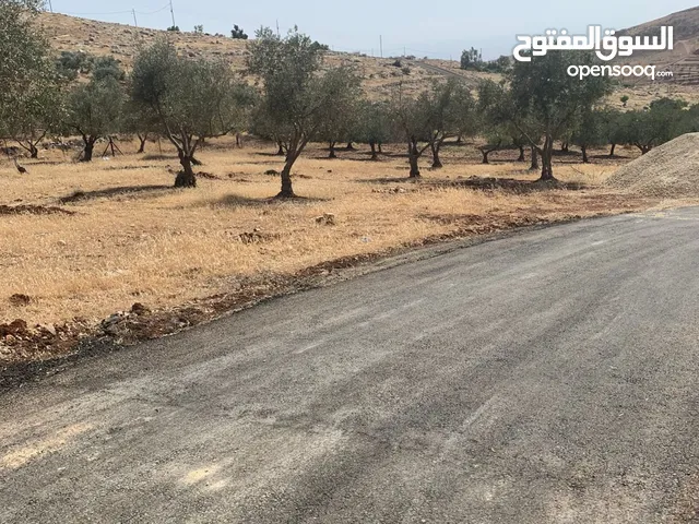 Residential Land for Sale in Salt Al Balqa'