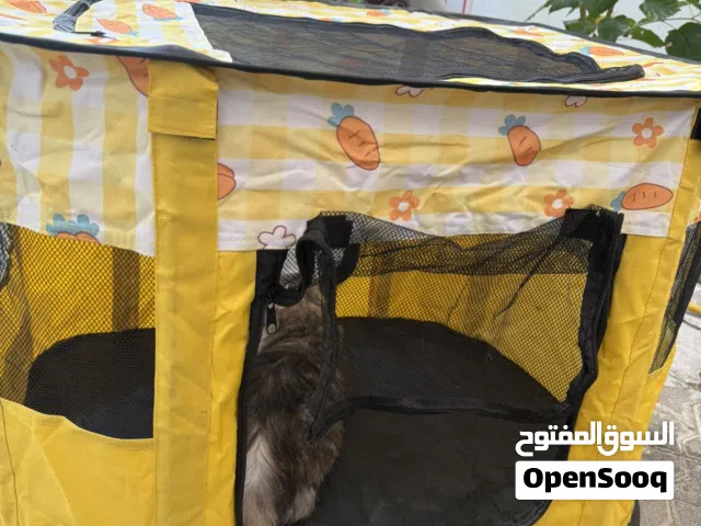 خيمة ومنزل للحيوانات (قطط/كلاب) ذو ابواب عديدة ومريحة