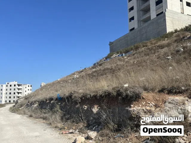 قطعة ارض - نابلس الجديدة -جبل السري