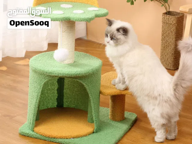 cat tree tower brand new