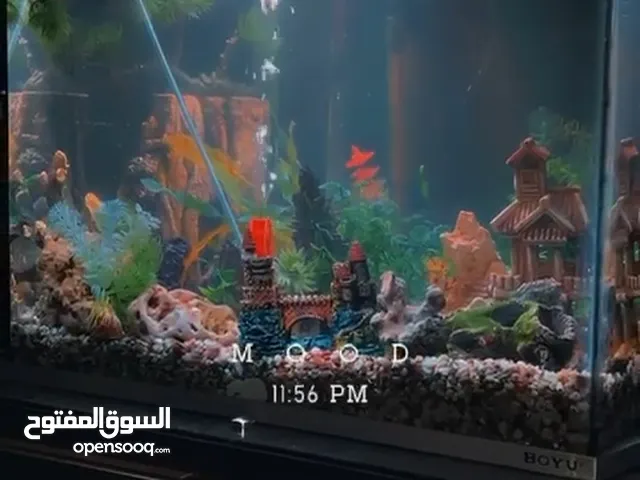 حوض سمك مع اضائه داخليه وجميع مستلزماتو الداخليه
