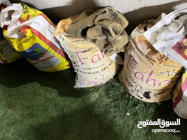 نفيعه للمواشي للجونية