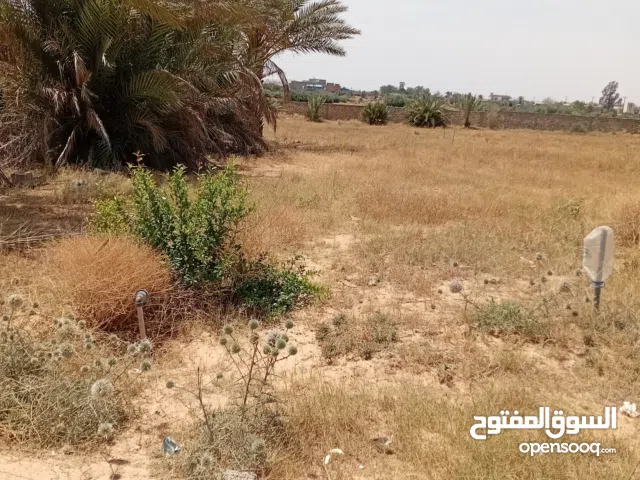 أرض سكنية بها شهادة عقاريه