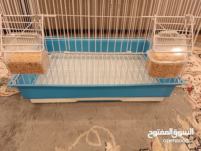 واحد ذكر وواحد انثى بصحه ممتازه