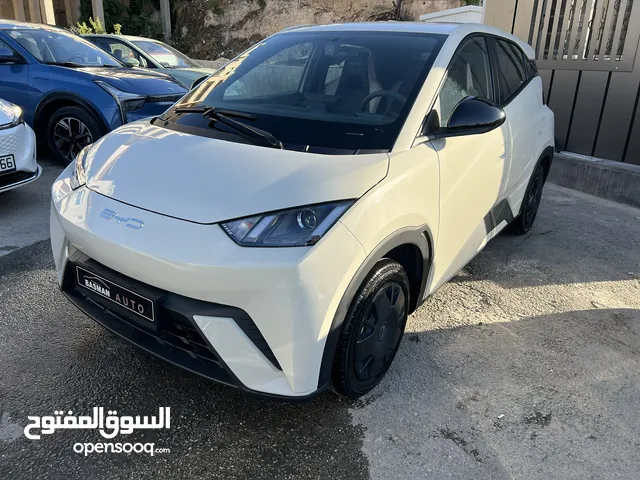 BYD SEAGULL 2023 مستعمل تمويل على الهوية