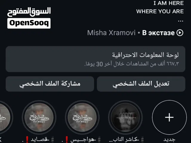 Social Media Accounts and Characters for Sale in Sana'a