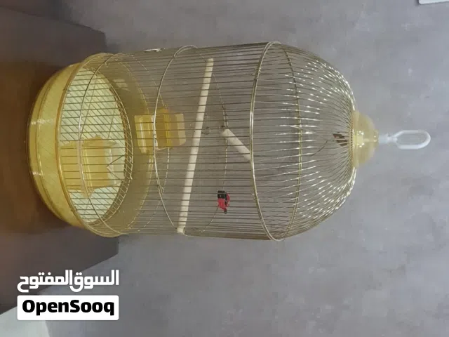 قفص جديد عصافير مش مستخدم