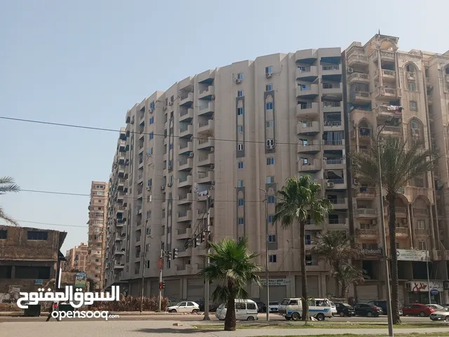 155 m2 3 Bedrooms Apartments for Sale in Alexandria Seyouf